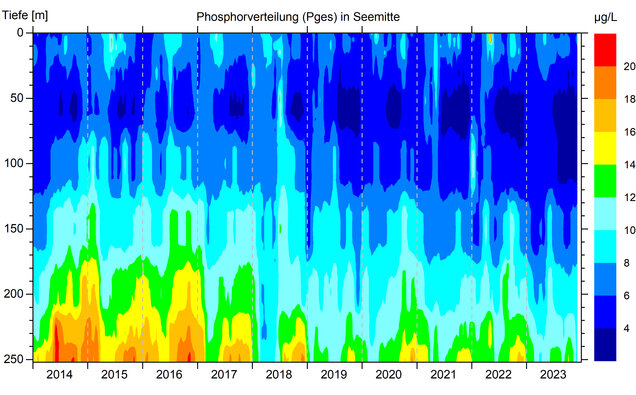 Abbildung 2: Gesamtphosphorverteilung in Seemitte zwischen Fischbach und Uttwil von 2014 bis 2023